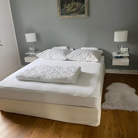 Sued - Ideale Lage Im Gruenen Zwischen Historischer Altstadt Und Uni-klinikum *